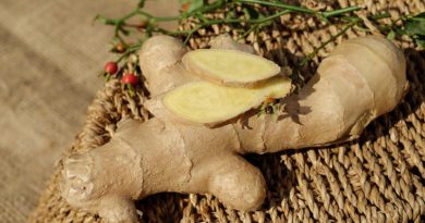 Top 10 Remarkable Benefits of Ginger