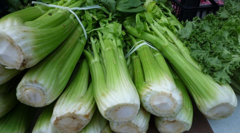 Top 10 Incredible Benefits of Celery